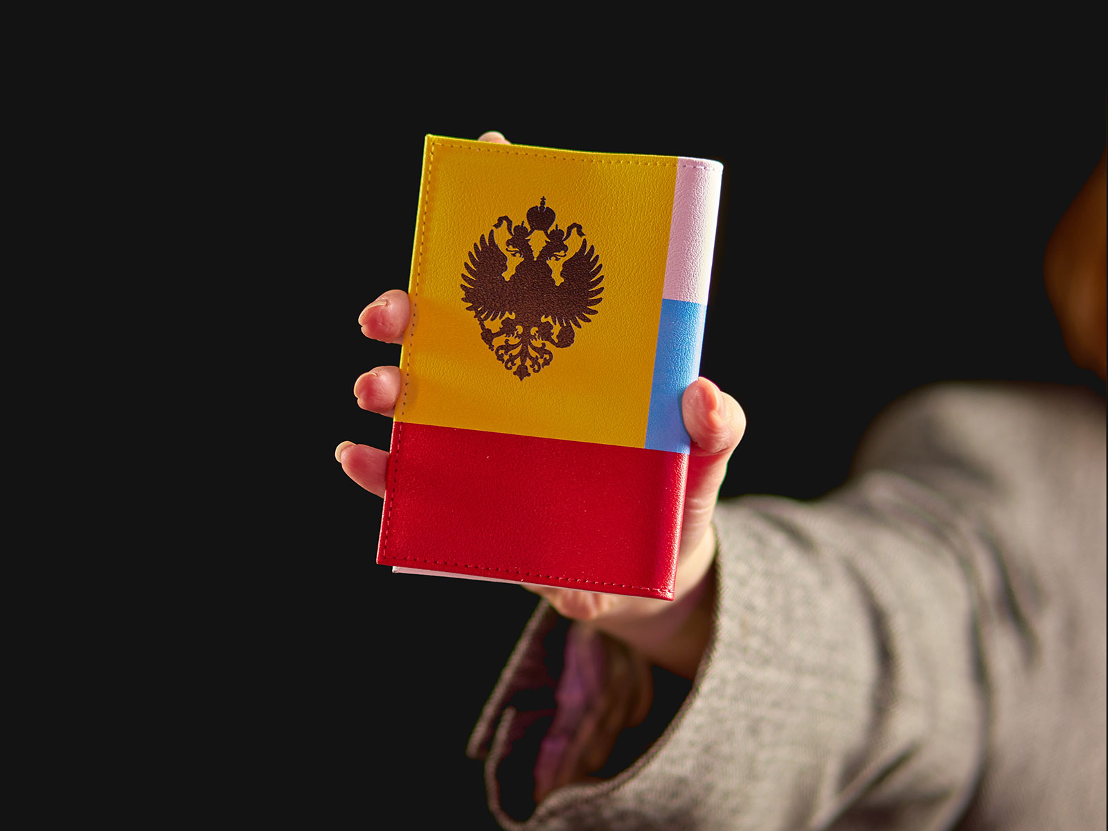Обложка для паспорта Русский флаг